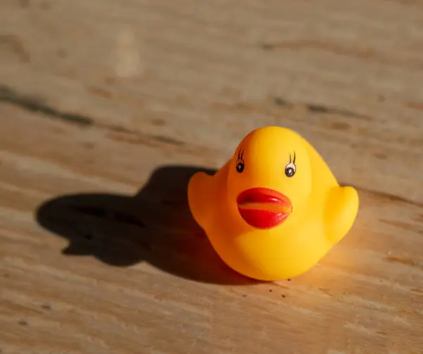 Yellow rubber duck toy on wooden background, shallow depth of field.