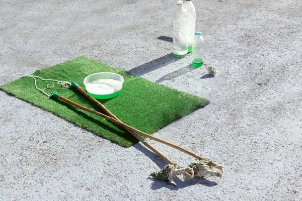 A dog looking out a cars window