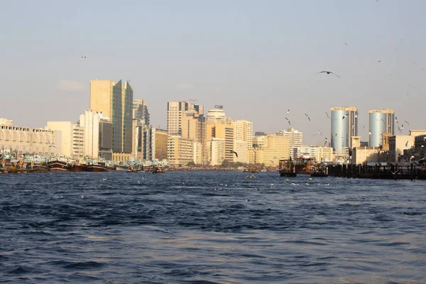 Bur Dubai sea and skyline