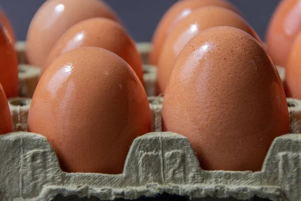 Close-up view of an egg carton with two rows of fresh eggs, viewed from the front and slightly from above, showcasing rear eggs.\