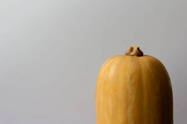 Kabak kafa, yakın plan.