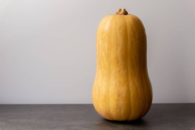 Tarafsız bir arkaplanda duran turuncu kabak.