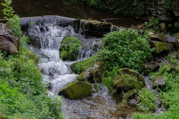 Şelale yemyeşil ve doğal ortamda küçük bitkilerle çevrili..