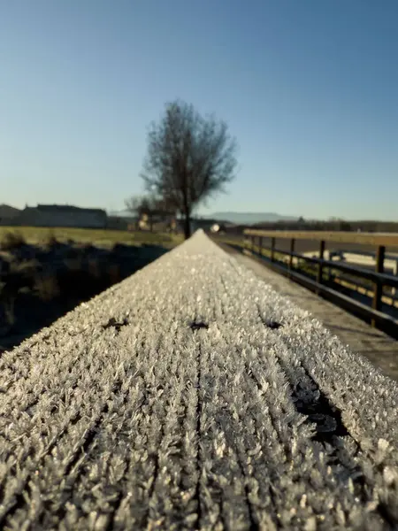 Yakın çekim, arka planda açık mavi gökyüzü olan ahşap bir köprü korkuluğunda buz kristallerinin karmaşık dokusunu yakalar..