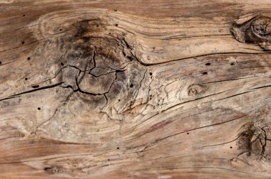Yıpranmış ahşabın doğal varyasyonlarıyla yakın çekim dokusu.