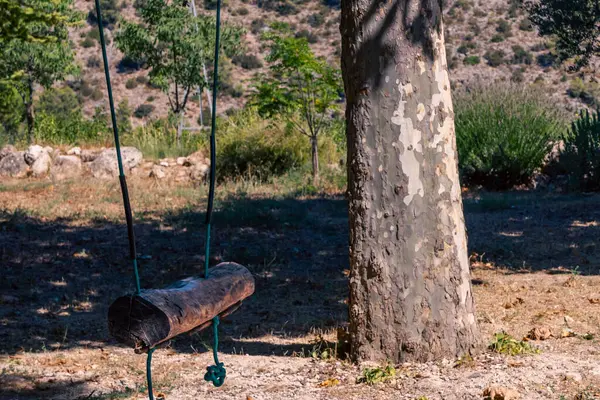 Fotoğraf, kırsal alanda iki ipte sallanan eski, yıpranmış ahşap bir salıncak yakalıyor..