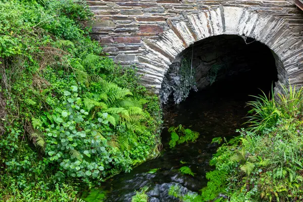 Bu fotoğraf, eski bir taş köprüden yemyeşil bir çevreye akan küçük, temiz bir akıntının olduğu sakin bir sahneyi yakalar..