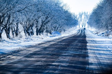 Ağaçlı kış manzarası. Yüksek kaliteli fotoğraf.