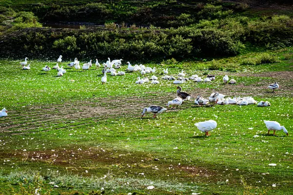 Taşra atmosferli bir manzara. Yüksek kaliteli fotoğraf.