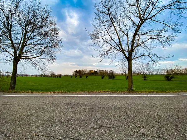 Parktan bahar manzarası. Yüksek kaliteli fotoğraf.