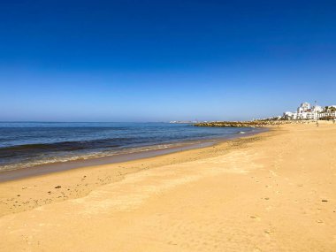 Sabah kumsalda. Yüksek kaliteli fotoğraf.