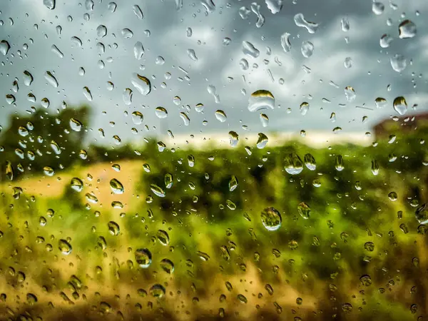 Arka planda bir alana bakan penceredeki yağmur damlaları rahatlatıcı bir atmosfer yaratıyor.