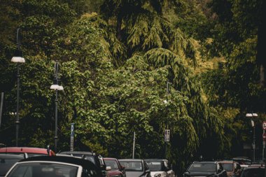 Şehirdeki arabalar ve ağaçlar. Yüksek kaliteli fotoğraf.