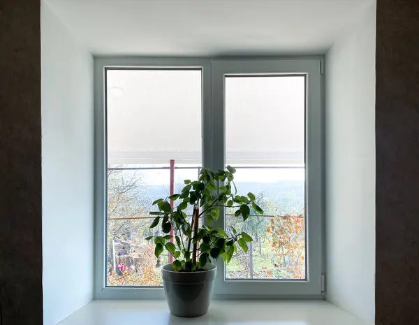 Ortasında çiçekler olan pencere. Yüksek kaliteli fotoğraf.