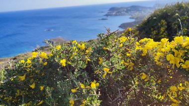 Yunan adası Ermoupoli, Syros 'taki Poseidonia bölgesindeki bir tepenin manzarası
