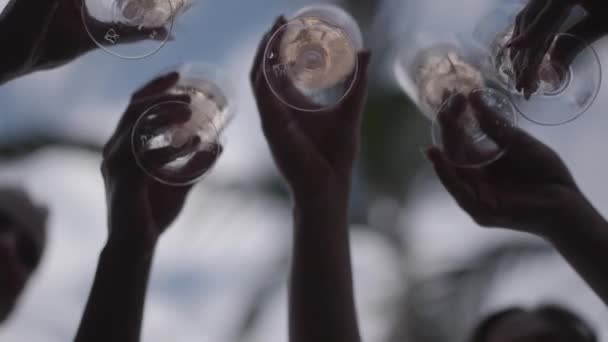 Vijf Jonge Vrouwen Met Champagne Maken Glazen Met Palmbomen Wolken — Stockvideo