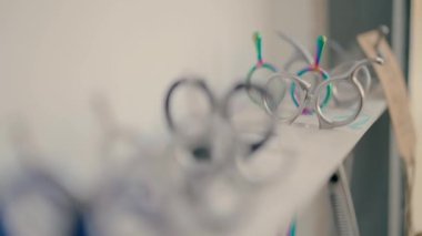 Köpek bakımı makası. yavaş çekim.