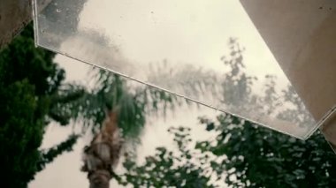 Close-up slow motion shot of the raindrops falling from a glass awning. A rainy and depressing day. Water rings from the falling raindrops with green trees in the background