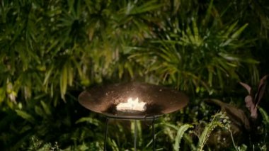 Torch in tropical garden at night. High quality FullHD footage