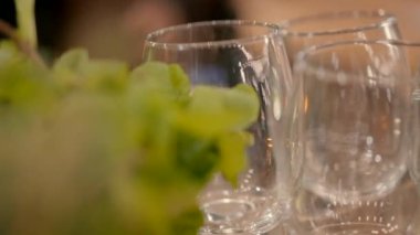 slow motion close up of empty glasses with mint next to them. 