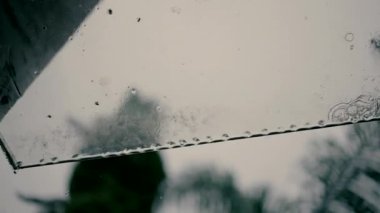 Close-up slow motion shot of the raindrops falling from a glass awning. A rainy and depressing day. Water rings from the falling raindrops with green trees in the background