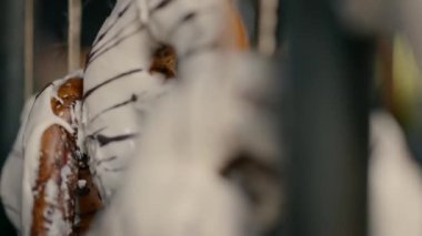Donuts with sweet coating up close. High quality FullHD footage