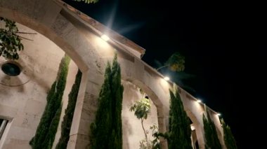 Cypresses near a building at night. High quality FullHD footage