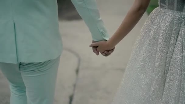 Bride Groom Walking Path Garden Hold Hands Slow Motion Video — Stockvideo