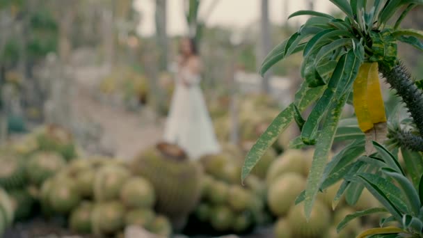 Sylwetka Panny Młodej Wśród Kaktusów Dzień Ślubu — Wideo stockowe