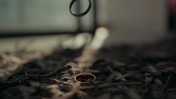 Anneau Mariage Repose Sur Tapis Brun Dans Chemin Ensoleillé Une — Video