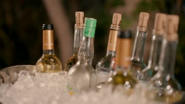 Sekiz Şişe Şarap Buzlu Metal Bir Kovada Soğutuluyor Şölen Salonunun — Stok video