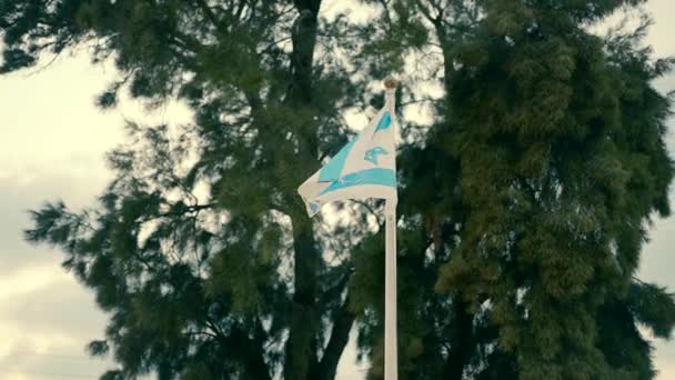 イスラエルの国旗が風になびいており 背景には空と木々があります 風の中でイスラエルの旗のスローモーションでのビデオ撮影 — ストック動画