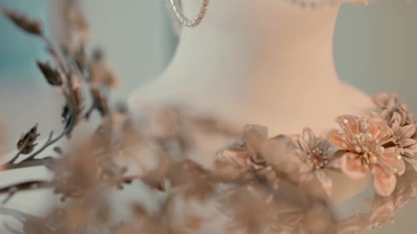 Earrings Beads Bracelets Other Jewelry Neatly Arranged Shelf Mannequin Video — Vídeo de stock