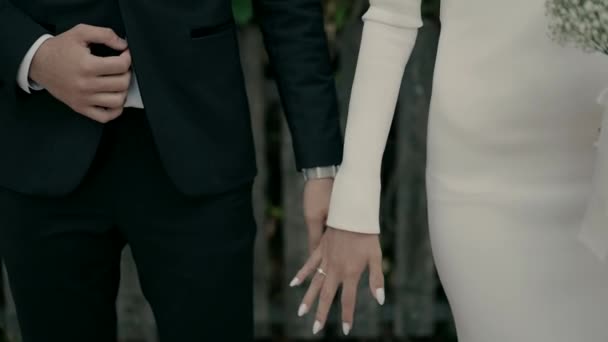 新娘和新郎站在篱笆边手牵手 婚礼上新郎和新娘的美丽慢镜头 手牵手 手牵手 — 图库视频影像