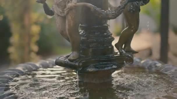 Gros Plan Vidéo Ralenti Eau Qui Coule Dans Petite Fontaine — Video