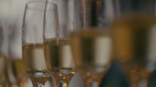 Bicchieri Con Champagne Stanno Fila Bellissimo Primo Piano Video Champagne — Video Stock