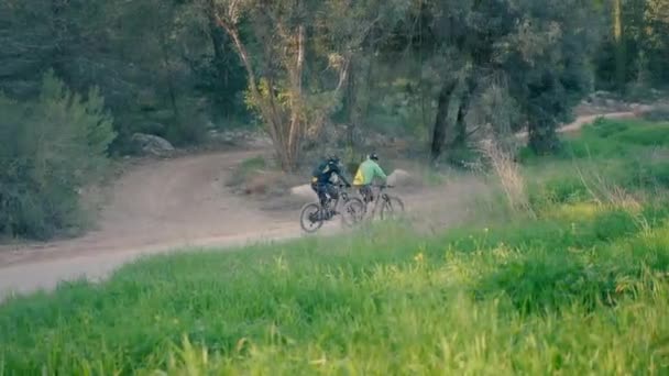 Δύο Άντρες Κάνουν Ποδήλατο Στο Δάσος Την Ημέρα Υγιεινή Ζωή — Αρχείο Βίντεο