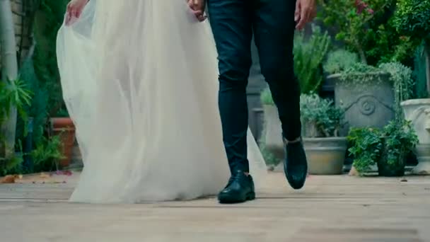 Νύφη Και Γαμπρός Κρατώντας Χέρια Και Περπατώντας Ένα Όμορφο Δρόμο — Αρχείο Βίντεο