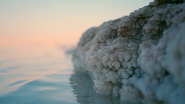 Närbild Video Saltkristaller Döda Havet Vid Solnedgången Israel — Stockvideo