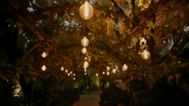 Piękny Ogród Oświetlony Lampami Wieczorem — Wideo stockowe