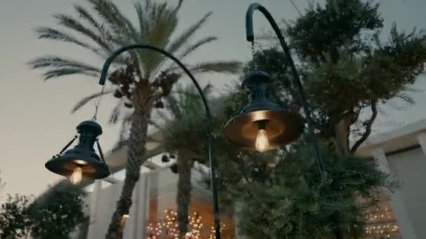 Akşamları Bahçede Klasik Tarzda Güzel Sokak Lambaları Yakılıyor Yüksek Kaliteli — Stok video