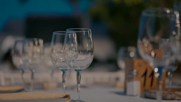 Empty Wine Glasses Table Garden Evening High Quality Fullhd Footage — Stock Video