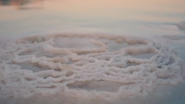 イスラエルの日没時に死海の塩の結晶のクローズアップビデオ — ストック動画