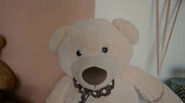 Ayılar ve balonlar bir etkinlik salonunda sünneti kutluyorlar. Yüksek kaliteli FullHD görüntüler