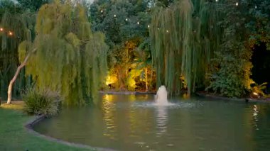 Bol bitki örtüsü, söğütler, göl ve aydınlatma olan güzel bir bahçe. Yüksek kaliteli FullHD görüntüler