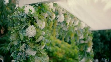Beyaz çiçekli güzel bir kubbe. Yüksek kaliteli FullHD görüntüler