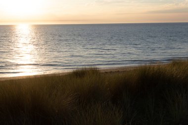 Gouville sur Mer, Manche, Normandiya, Fransa 'daki sahil kulübeleri
