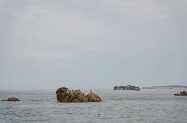 Batz Adası, Finistere, Bretagne, Fransa 'dan deniz manzarası