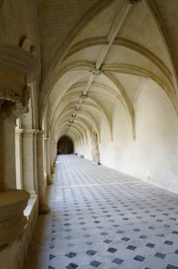 View from Fontevrault Abbey with details