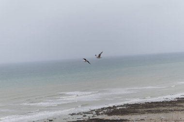 Veules-les-Roses and its famous coastline with cliffs over the Channel